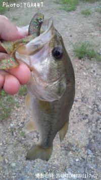 ¥Ö¥é¥Ã¥¯¥Ð¥¹