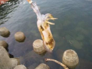 �����Υ���������