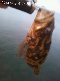 �����Υ���������