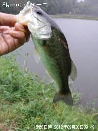 �֥�å��Х�