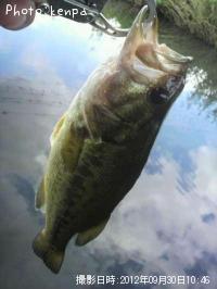 �֥�å��Х�