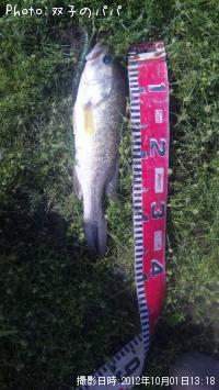 �֥�å��Х�