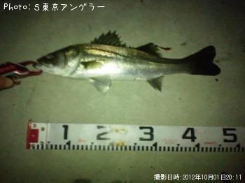 �����Х�