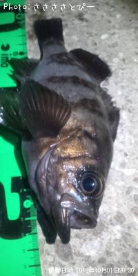 ���ꥢ��Х�