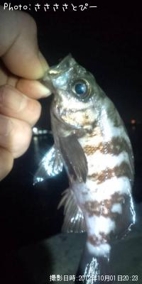 ���ꥢ��Х�