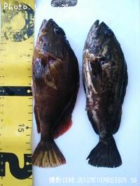 ����������������