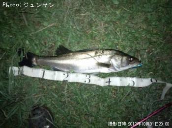 �����Х�