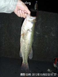 �֥�å��Х�