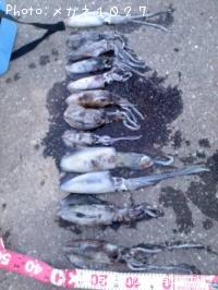 �����ꥤ��