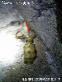 ¥¢¥ª¥ê¥¤¥«