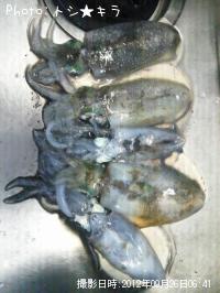 �����ꥤ��