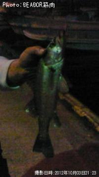 �����Х�