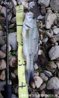 �֥�å��Х�