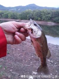 �֥�å��Х�