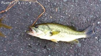 �֥�å��Х�