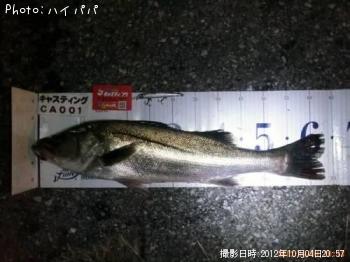 �����Х�