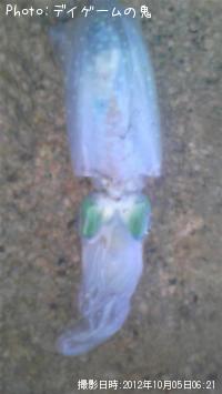 ¥¢¥ª¥ê¥¤¥«