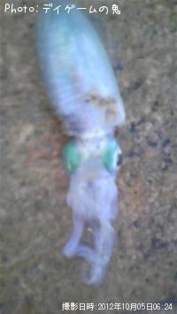 �����ꥤ��