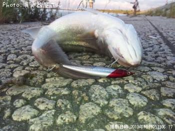 �����Х�