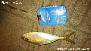 アジ