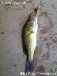 ¥Ö¥é¥Ã¥¯¥Ð¥¹