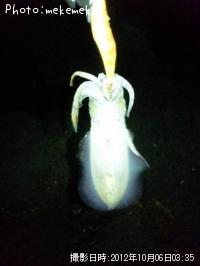 �����ꥤ��