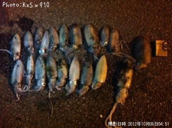 �����ꥤ��