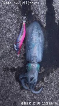 �����ꥤ��