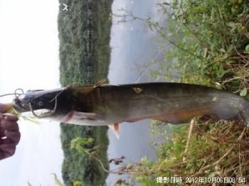 �֥�å��Х����ʥޥ�