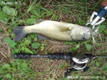 �֥�å��Х�