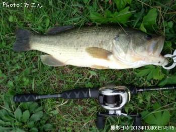 �֥�å��Х�