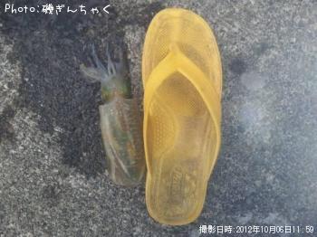 �����ꥤ��