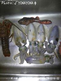 �����ꥤ��