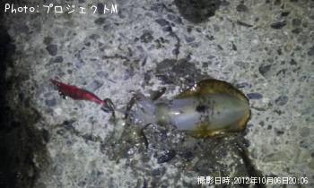 �����ꥤ��