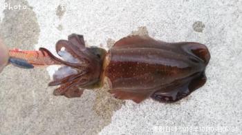 �����ꥤ��