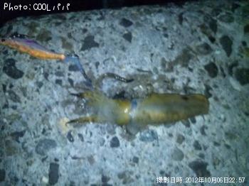 �����ꥤ��