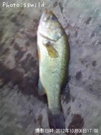 �֥�å��Х�