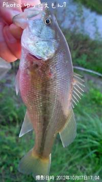 �顼���ޥ���