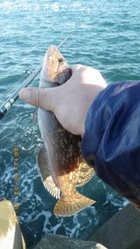 �����ʥ�