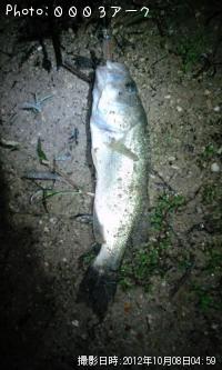 ¥Ö¥é¥Ã¥¯¥Ð¥¹