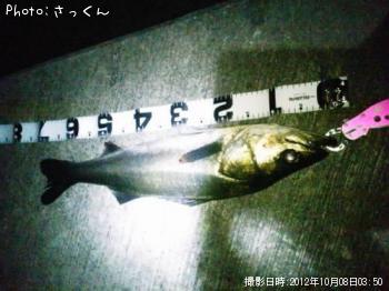 �����Х�