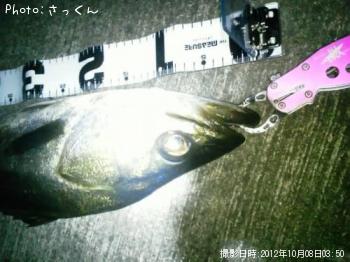 �����Х�