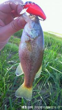 �顼���ޥ���