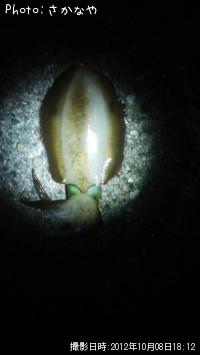 �����ꥤ��