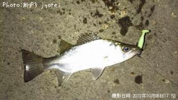 �����Х����ޥ���