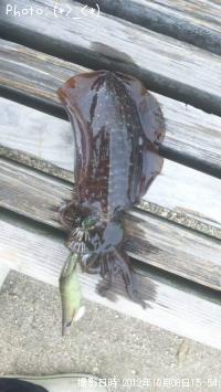 �����ꥤ��