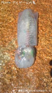 ¥¢¥ª¥ê¥¤¥«