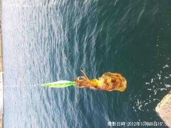 �����ꥤ��