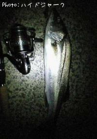 �����Х�