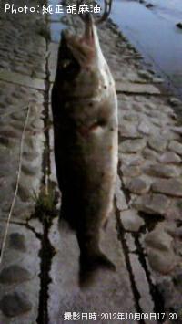 �����Х�